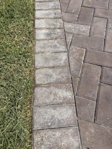 IMG_2168